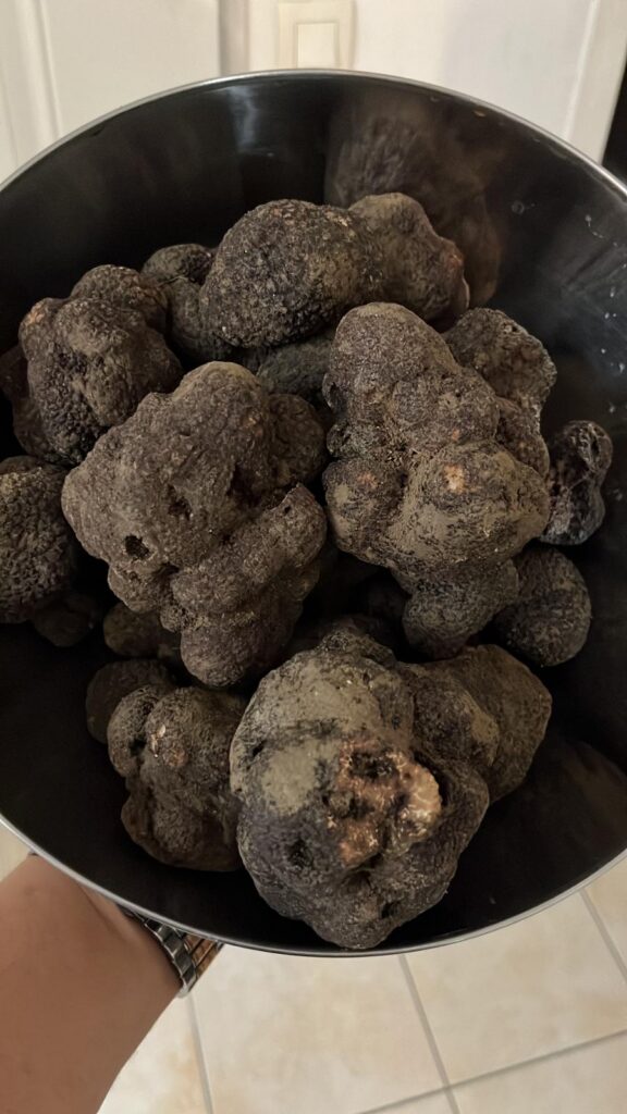 Grosses Truffes noires