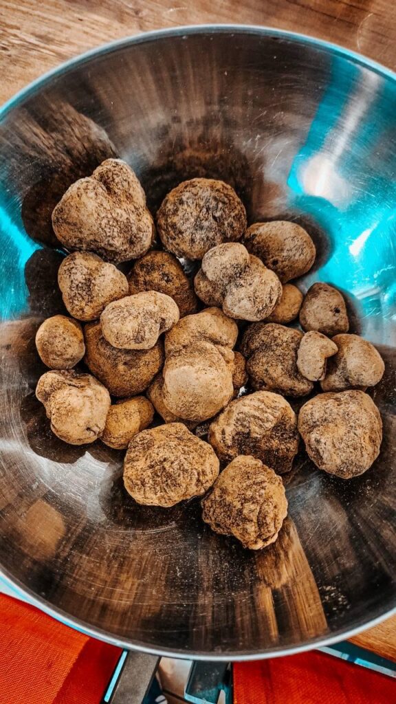 produits frais Panier de truffes fraiches